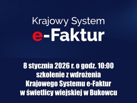 Szkolenie dla przedsiębiorców z wdrożenia Krajowego Systemu e-Faktur