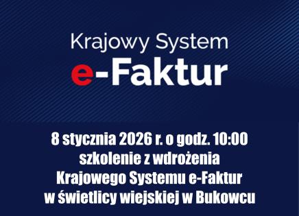 Szkolenie dla przedsiębiorców z wdrożenia Krajowego Systemu e-Faktur