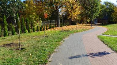 Nasadzenia drzew i krzewów w parku w Bukowcu 2018